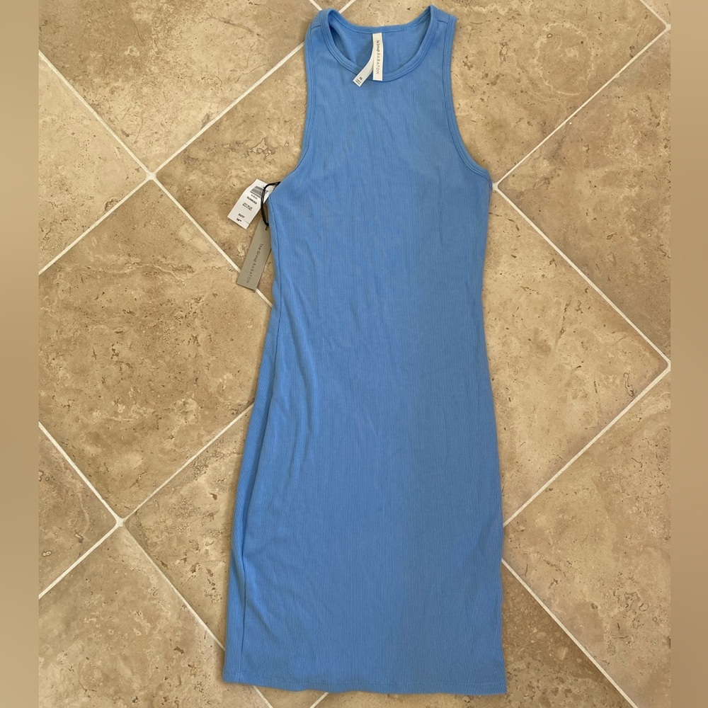 New Aritzia Babaton bodycon blue dress (size XS) with tags